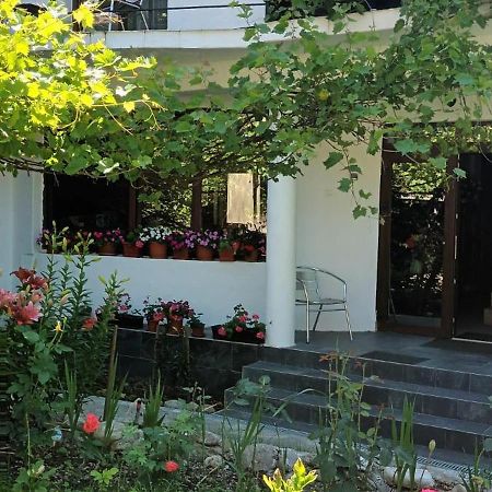 Pensiunea Vila Geany Srl Baile Herculane Bagian luar foto