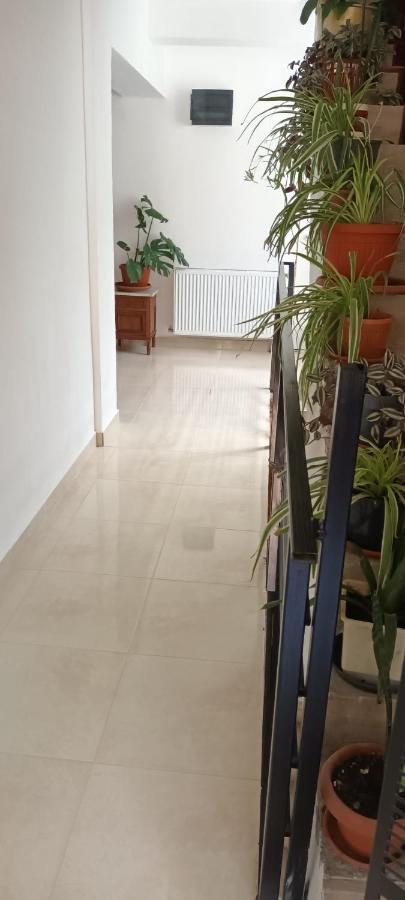 Pensiunea Vila Geany Srl Baile Herculane Bagian luar foto