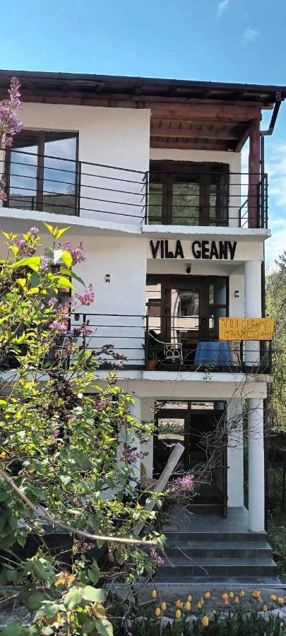 Pensiunea Vila Geany Srl Baile Herculane Bagian luar foto