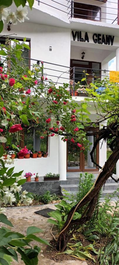 Pensiunea Vila Geany Srl Baile Herculane Bagian luar foto