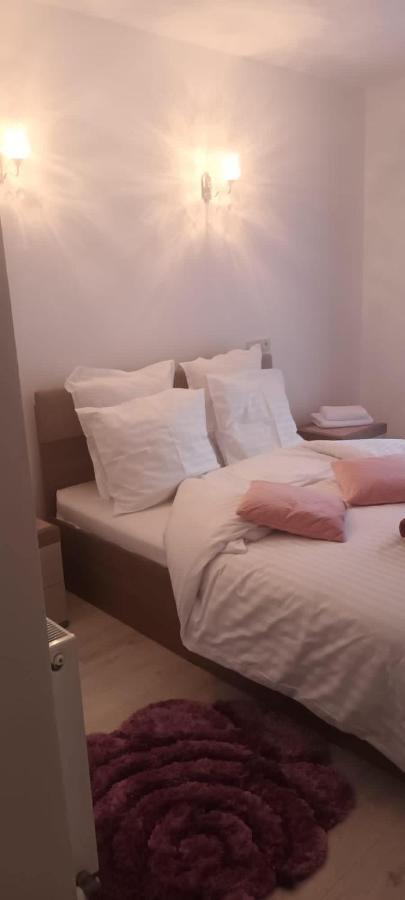 Pensiunea Vila Geany Srl Baile Herculane Bagian luar foto