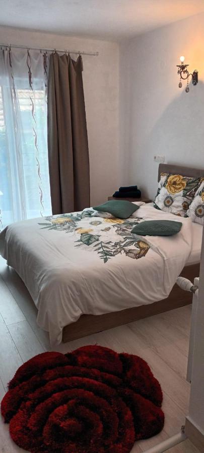Pensiunea Vila Geany Srl Baile Herculane Bagian luar foto